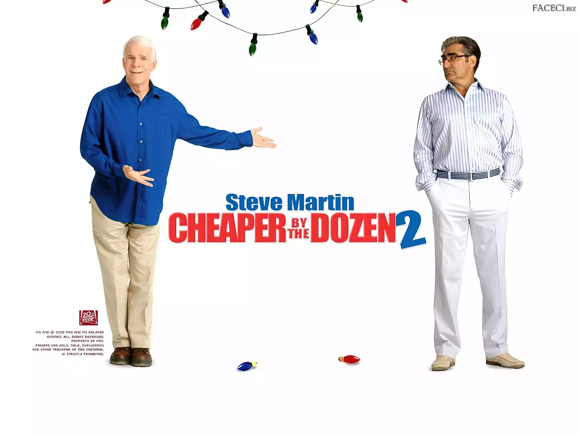 Steve Martin, Cheaper By The Dozen 2, mężczyzna